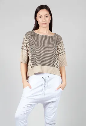 Cropped Short Sleeve Jumper in Sand Black Stripe