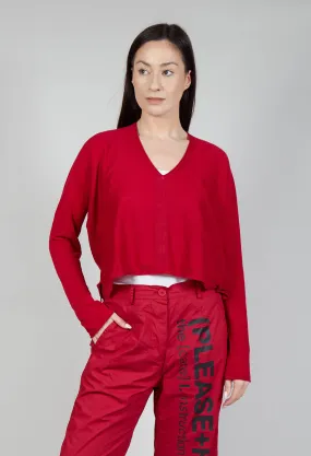 Cropped V Neck Jumper in Chili